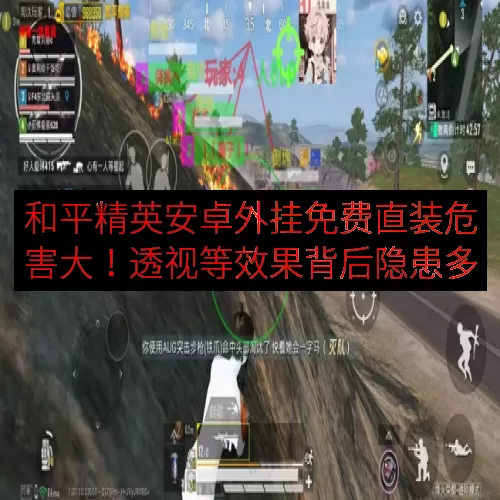 和平精英安卓外挂免费直装危害大！透视等效果背后隐患多